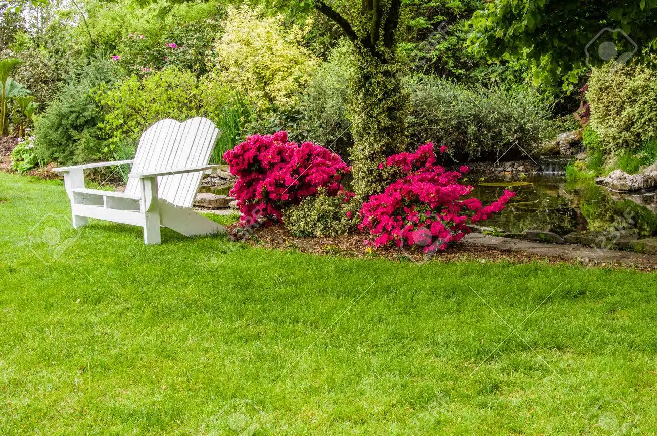 Un banc à proximité d'arbustes de jardin