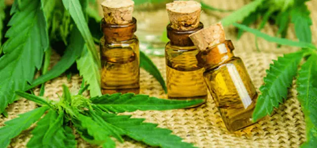 Comment prendre huile de cbd ?